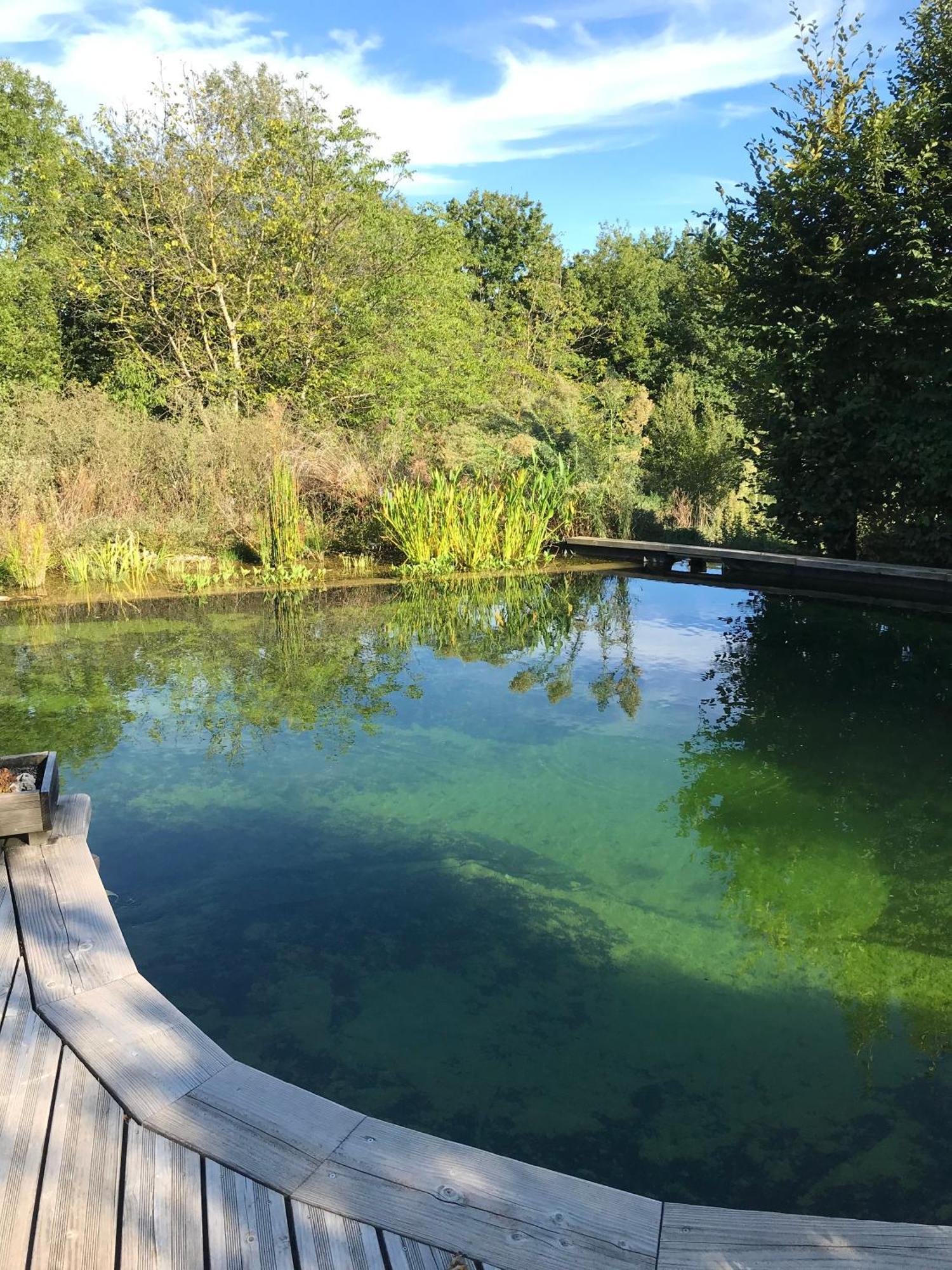 Ecolieu Le Chant Du Temps Bed & Breakfast Saint-Usuge Eksteriør bilde